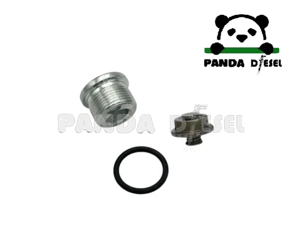 Kit de Reparo de Peças da Válvula de Entrega da Bomba de Injeção Common Rail Bosch F00n202354 Para Bomba de Combustível Diesel de Alta Pressão Cp3 0445020037 0445020101 0445020137 0445020207 04445020252